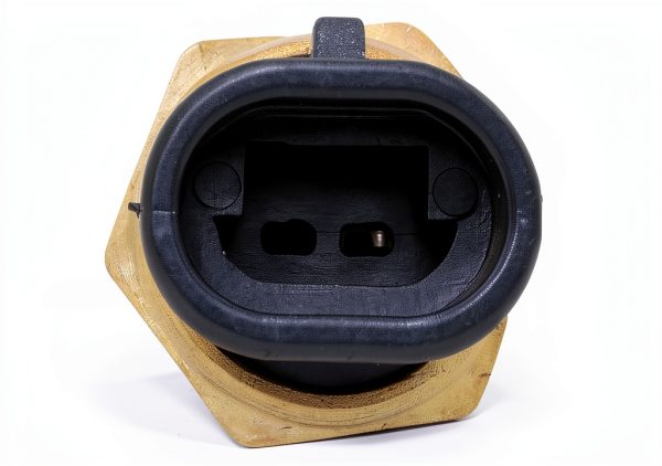 ACDelco Coolant Temperature Sensor Replacement-1