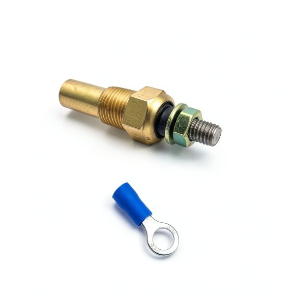 SREUOIL Temperature Sender Sensor 1/8 NPT Brass Digital RSC282-6